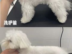 -comecome来吧宠物(奥克斯中心店)