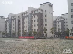-上海海洋大学(临港校区)
