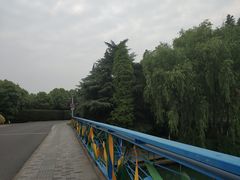 -暨阳湖生态园