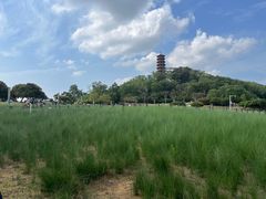 -红花山公园