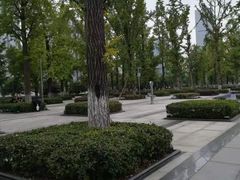 -百林公园-两江幸福广场