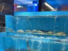 -山海•蒸汽活海鲜自助(皇庭广场店)
