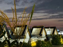 -小蜜蜂农场(凯德七宝购物广场店)