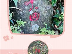 -江郎山风景名胜区