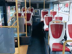 -BUS TOUR观光巴士