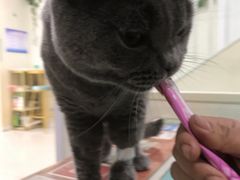 -子乐宠物医院