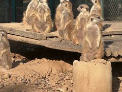 -秦皇岛野生动物园