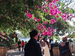 -海韵人家.海景花园经典云南菜(双廊店)