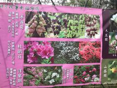 -华南国家植物园-售票处