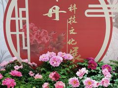 -国家植物园南园