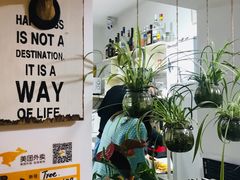 -树咖啡tree coffee