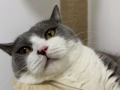 -佳雯宠物医院·皮肤科·内外科(春晓路分院)