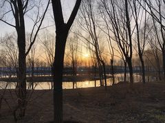-东郊湿地公园