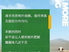 -炑羊香烤全羊(西三旗店)