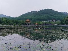 -红山村