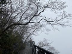 -张家界天门山国家森林公园
