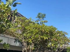 -明谷行馆·温泉