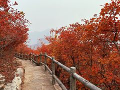 -周口店坡峰岭风景区