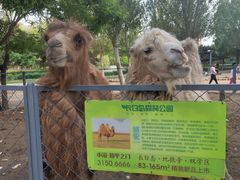 -长白岛森林公园