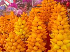 -越秀西湖花市(广州城市广场花卉店)