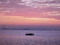 -宝安西湾红树林湿地公园