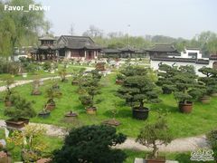 -盆景园(扬州大运河文化旅游度假区)