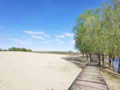 -东郊湿地公园