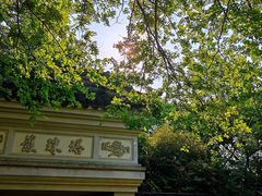 -上海佘山国家森林公园天马山园