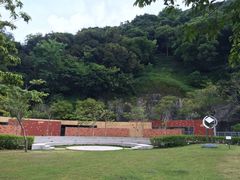 -香港大学