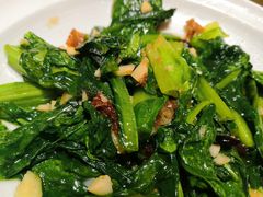 豆豉鲮鱼炒苦麦菜-潮庭港式茶餐厅·熊仔奶茶(同济广场店)