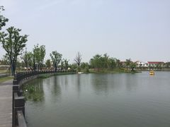 -上海长兴岛郊野公园