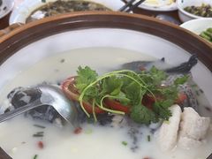 -全乐鱼馆·淳牌有机鱼直营店