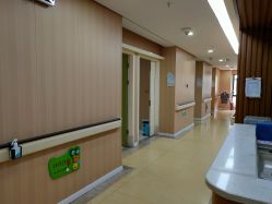 -杭州复旦儿童医院·语言发育迟缓·自闭症干预·注意力训练