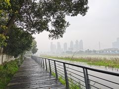 -月湖风景区