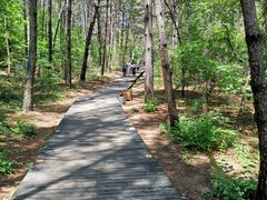 -帽儿山国家森林公园