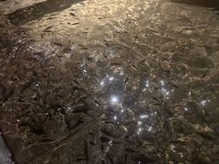 -明谷行馆·温泉