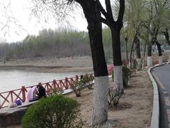 -丁香湖公园