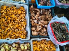 -菌之家·专业纯野生菌火锅·特色炒菌
