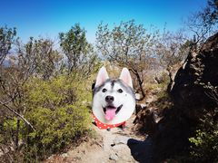 -北京鹫峰国家森林公园