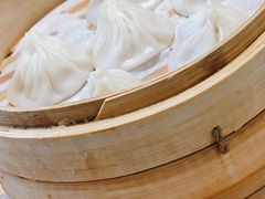 鲜肉小笼-苏小柳手工点心(人民广场分院)