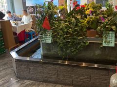 -洞庭家宴·头牌甲鱼(广渠门店)
