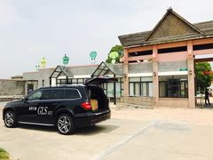 -上海都市菜园