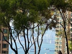 -香港大学