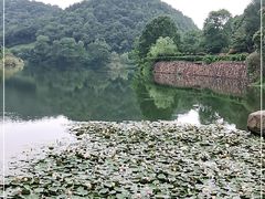 -桃花岭景区