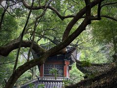 -杭州黄龙洞
