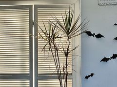 -22ºN BISTRO西餐&酒馆