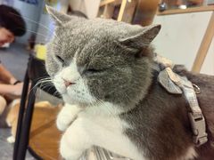 -留仙洞(地铁站)