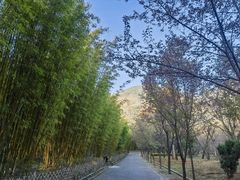 -蝴蝶泉公园