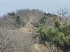 -浮山香苑