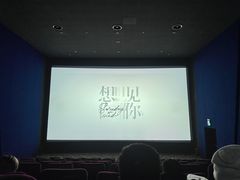 -嘉华国际影城(学清路店)